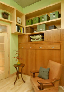 Den with Custom Cabinetry