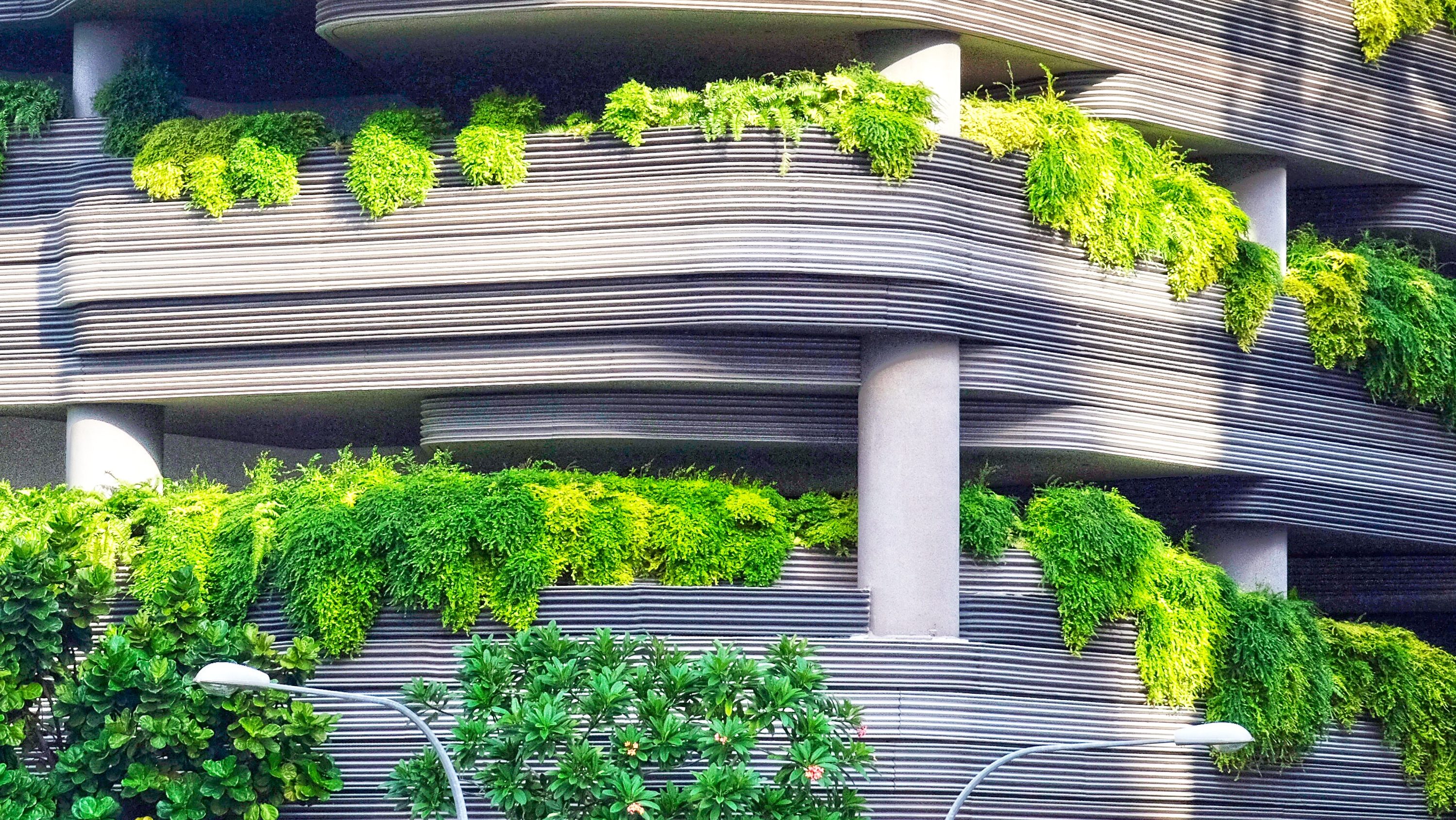 Nature Reimagined: Biophilic Design Beyond Plants