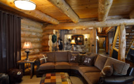 Log Cabin Lower Level