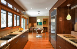 Modern Kitchen Remodel MN